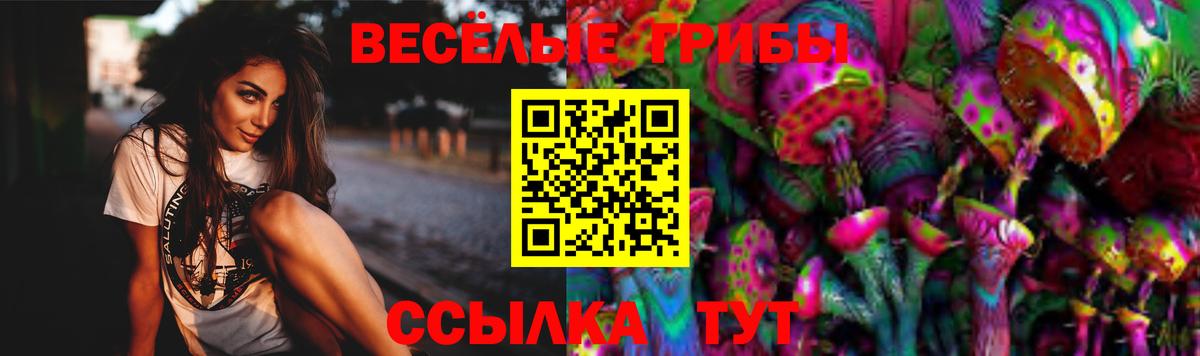 Галлюциногенные грибы ЛСД  Вход с VPN  где купить наркоту  Сочи 